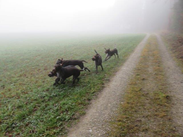 Gruppe